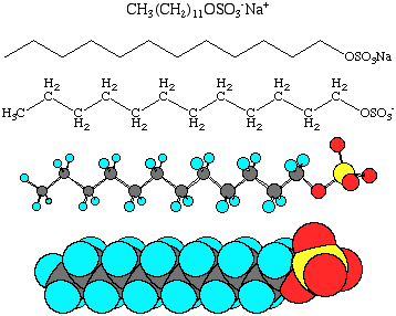 the molecular structure